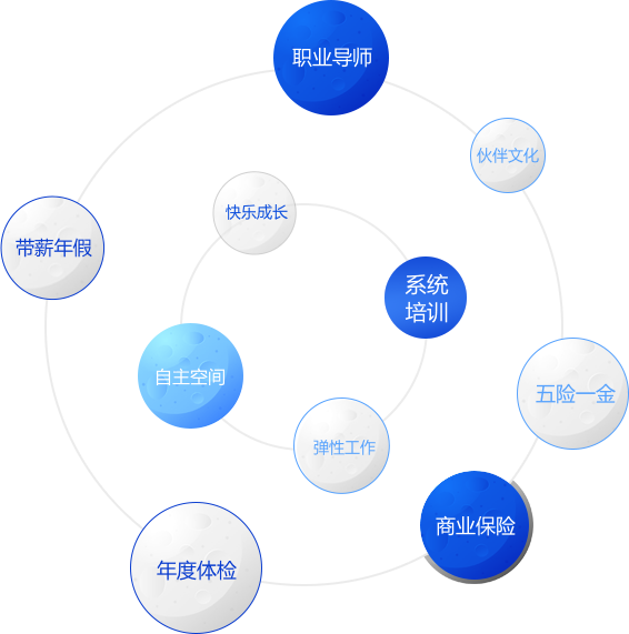 算法绽放，相信数据智能的力量