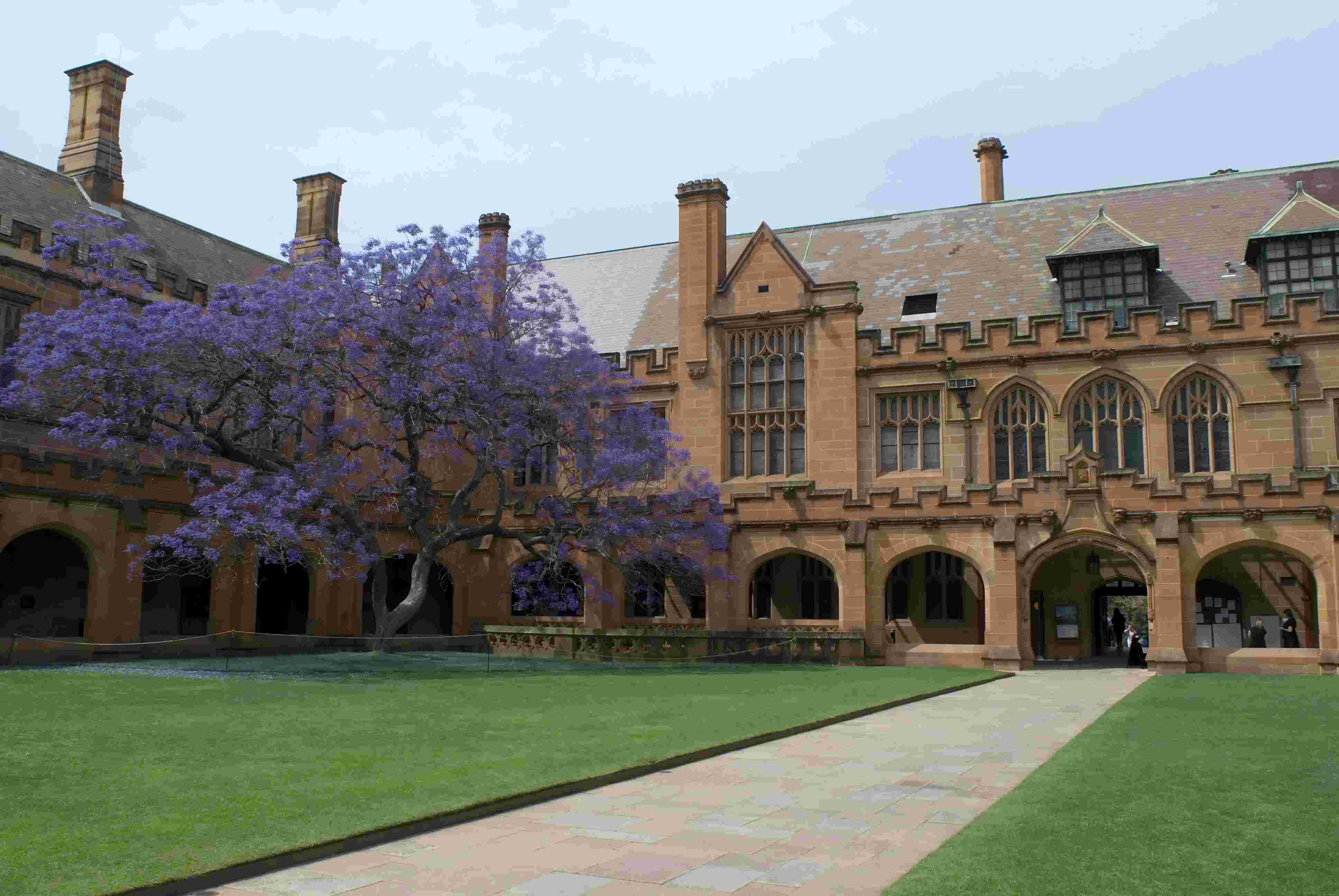 伟德源自英国始于1946建言破解海归人才政策堵点